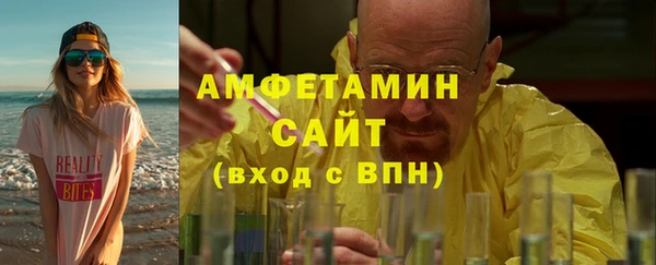 стаф Алзамай