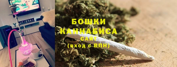 дживик Вязьма
