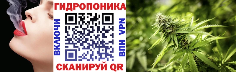 магазин продажи наркотиков  Палласовка  Конопля гибрид 